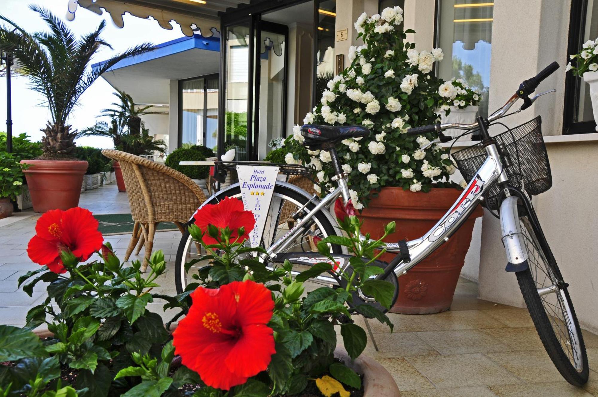 Hotel Plaza Esplanade